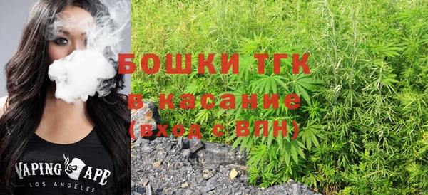 мет Алексин
