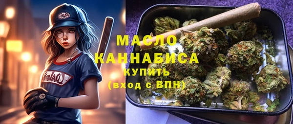 мет Алексин