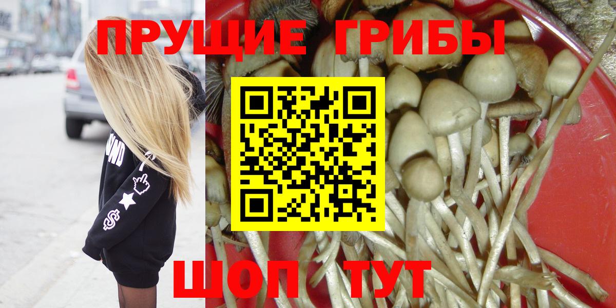 Находка  Галлюциногенные грибы Psilocybe  Вход с VPN  Галлюциногенные грибы Magic Shrooms 