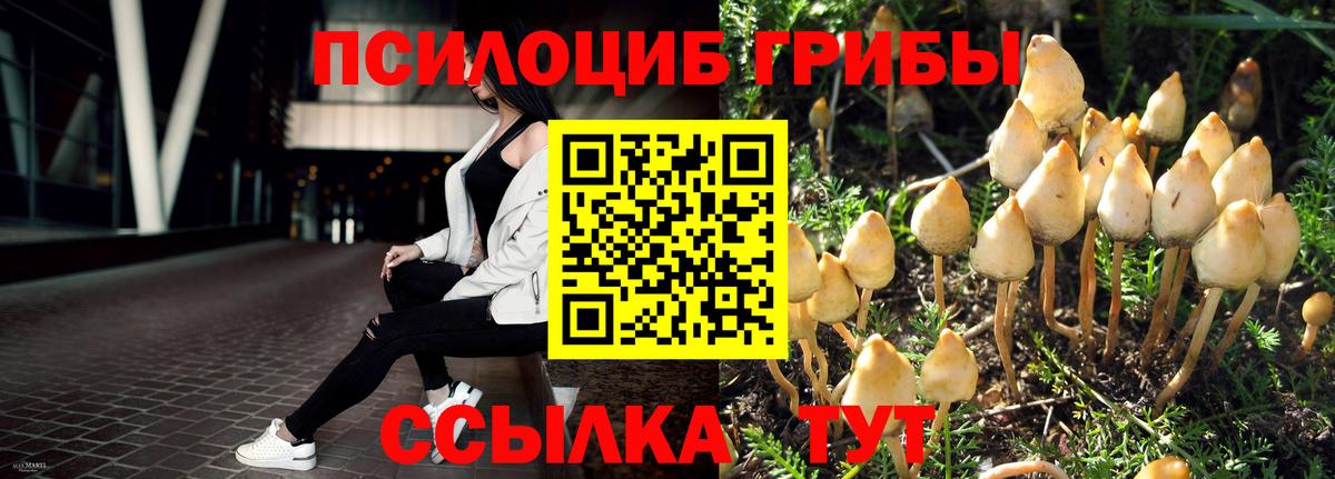 Галлюциногенные грибы MAGIC MUSHROOMS Находка